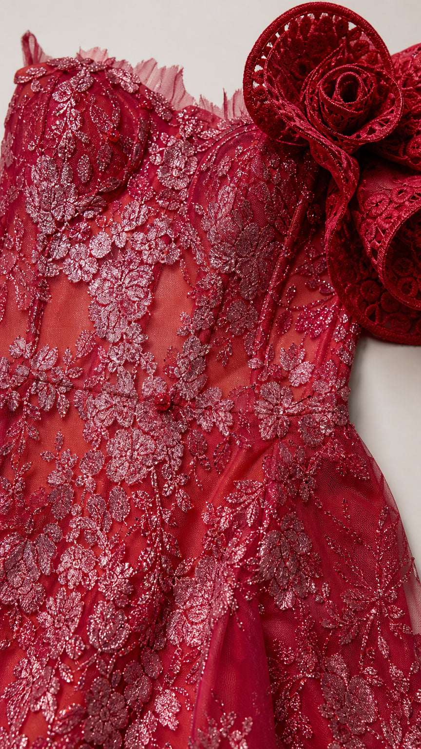 Close-up detail of red floral applique and bodice embroidery