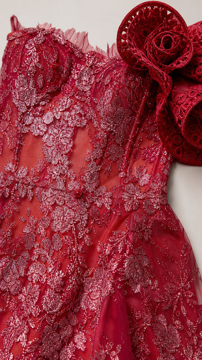 Close-up detail of red floral applique and bodice embroidery